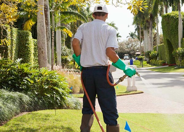 About Oakfield GA Pest Control Pros